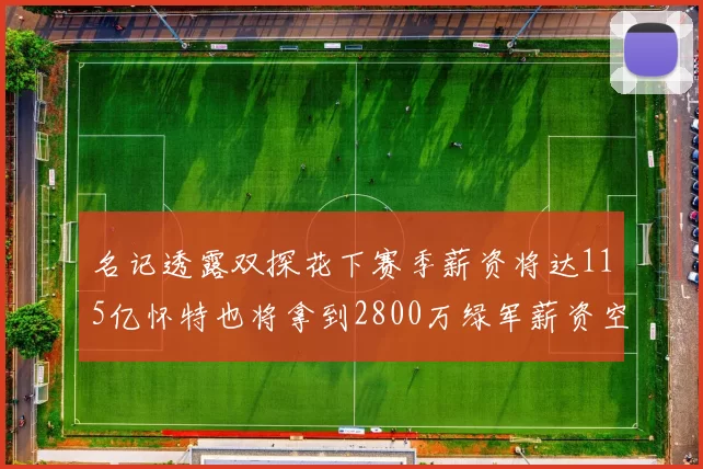 名记透露双探花下赛季薪资将达115亿怀特也将拿到2800万绿军薪资空间依旧紧张